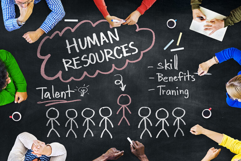 Human resources for schools